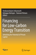 Financing for Low-Carbon Energy Transition: Unlocking the Potential of Private Capital