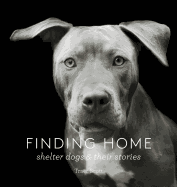 Finding Home: Shelter Dogs and Their Stories (a Photographic Tribute to Rescue Dogs)
