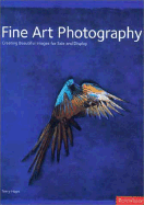 Fine Art Photography: Creating Beautiful Images for Sale and Display