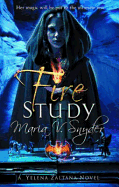 Fire Study