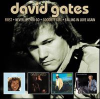 First/Never Let Her Go/Goodbye Girl/Falling in Love Again - David Gates