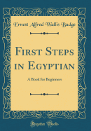 First Steps in Egyptian: A Book for Beginners (Classic Reprint)