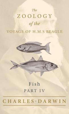 Fish - Part IV - The Zoology of the Voyage of H.M.S Beagle - Darwin, Charles, and Jenyns, Leonard