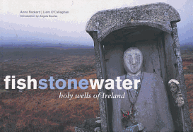 Fishstonewater : holy wells of Ireland