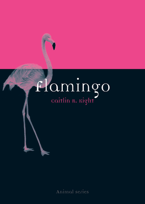 Flamingo - Kight, Caitlin R