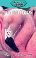 Flamingos