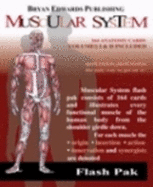 Flash Pak Muscular System Volumes 1 & 2
