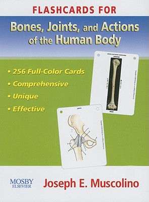 Flashcards for Bones, Joints and Actions of the Human Body - Muscolino, Joseph E