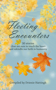 Fleeting Encounters: 30 stories that are sure to touch the heart and rekindle our faith in humanity