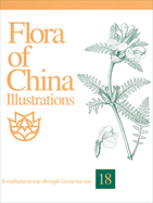 Flora of China Illustrations, Volume 18: Scrophulariaceae Through Gesneriaceae