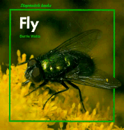 Fly