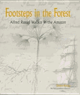 Footsteps in the Forest: Alfred Russel Wallace in the Amazon - Knapp, Sandra