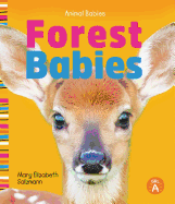 Forest Babies