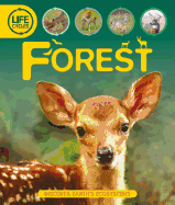 Forest Life Cycles