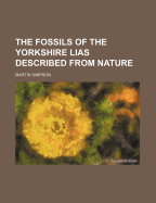 Fossils of the Yorkshire Lias Described from Nature