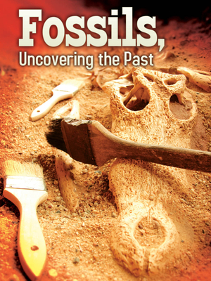 Fossils: Uncovering the Past - Greve