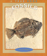 Fossils