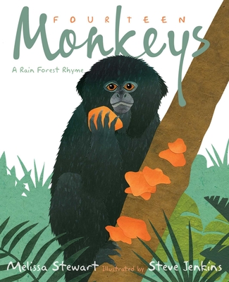 Fourteen Monkeys: A Rain Forest Rhyme - Stewart, Melissa