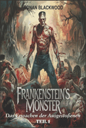 Frankensteins Monster TEIL 1: Das Erwachen der Ausgestoenen