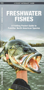 Freshwater Fishes: An Introduction to Familiar North American Species