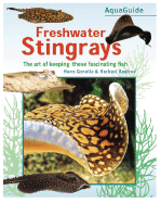 Freshwater Stingrays
