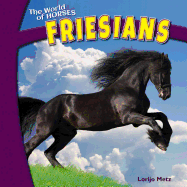 Friesians