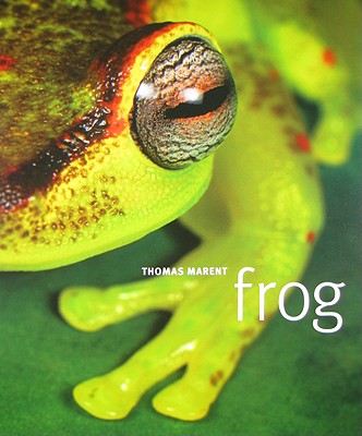 Frog - Marent, Thomas (Photographer), and Jackson, Tom