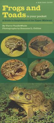 Frogs and Toads in Your Pocket: A Guide to Amphibians of the Upper Midwest - Vandewalle, Terry, and Collins, Suzanne L (Photographer)