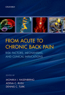 From Acute to Chronic Back Pain: Risk Factors, Mechanisms, and Clinical Implications