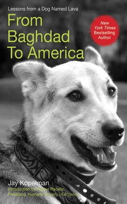 From Baghdad to America: Life Lessons from a Dog Named Lava - Kopelman, Jay