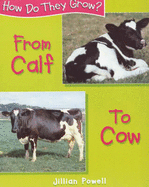 From calf to cow - Powell, Jillian