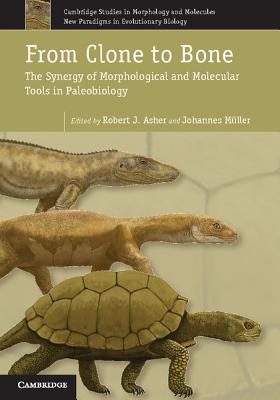 From Clone to Bone: The Synergy of Morphological and Molecular Tools in Palaeobiology - Asher, Robert J. (Editor), and Mller, Johannes (Editor)
