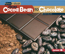 From Cocoa Bean to Chocolate