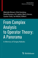 From Complex Analysis to Operator Theory: A Panorama: In Memory of Sergey Naboko