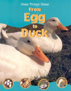 From Egg to Duck