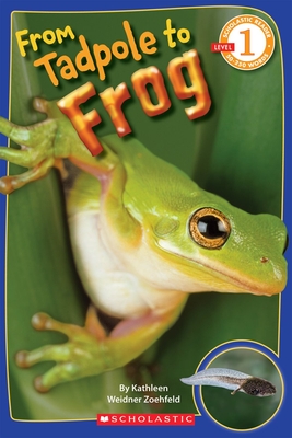 From Tadpole to Frog (Scholastic Reader, Level 1) - Zoehfeld, Kathleen Weidner