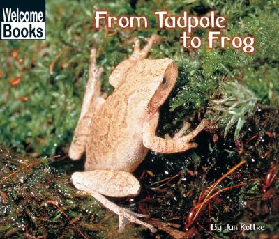 From Tadpole to Frog - Kottke, Jan