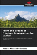 From the dream of freedom to migration for capital