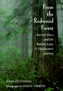 From the Redwood Forest: Ancient Trees, the Bottom Line, and a Headwaters Journey