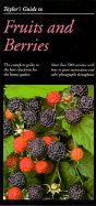 Fruits + Berries Pa