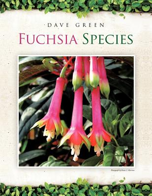 Fuchsia Species - Green, Dave