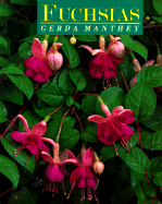 Fuchsias - Manthey, Gerda, and Christie, David (Translated by)