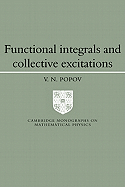 Functional integrals and collective excitations