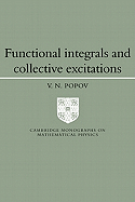 Functional Integrals and Collective Excitations