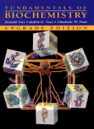 Fundamentals of Biochemistry - Voet, Donald, and Voet, Judith G, and Pratt, Charlotte W