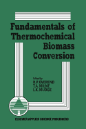 Fundamentals of Thermochemical Biomass Conversion