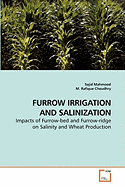 Furrow Irrigation and Salinization