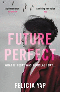 Future Perfect: The Most Exciting High-Concept Novel of the Year