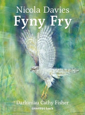 Fyny Fry - Davies, Nicola, and Pierce, Anwen (Translated by), and Fisher, Cathy (Illustrator)