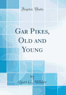 Gar Pikes, Old and Young (Classic Reprint)